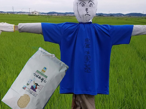 おかずのいらないコシヒカリ「つばめ返し」