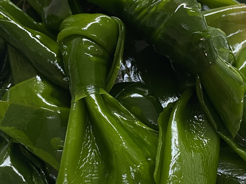 三陸 漁師直送！柔らか早煮こんぶ840g（280g×３袋）【ポストにお届け♪】【全国一律送料♪】