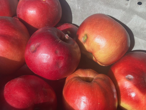 紅の夢・紅玉セット (B品各2k・合計4k )