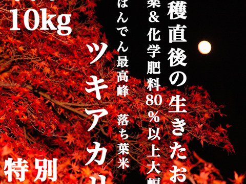 13袋限定 収穫から3日~7日以内の【 生きたお米 】
農薬&化学肥料80%以上大幅減 !!
 生産者自身が食べるのを楽しみに待つ程のプレミアムな味
はんでん 最高峰 特別栽培 落ち葉米 ツキアカリ