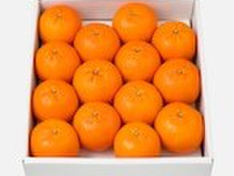 【数量限定・屋久島からの贈りもの】厳選されたたんかん！　屋久島産　贈答用たんかん　3kg　3Lサイズ 14個入り