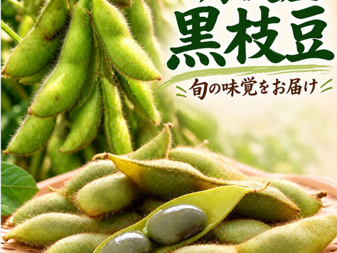 【丹波産本黒枝豆‼️【食べ出したら止まらない‼️】コクと甘みの1キロ入り❗️