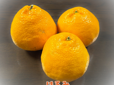 [送料500円引] 特盛フルーツセット8種