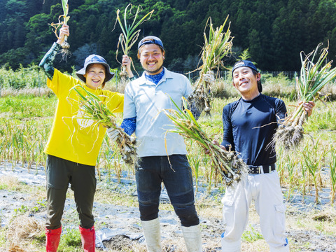 農薬不使用・化学肥料不使用のにんにく3kg！熊野の山々に囲まれ、清流古座川に育まれた土地で作る野菜