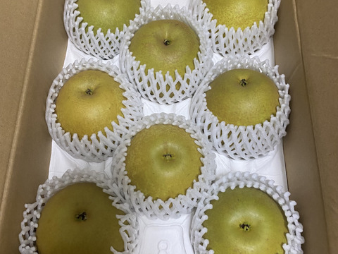 甘さ濃厚🍐　千葉県産【甘太】3㎏『6～8玉入』市川のなし・フルーツキャップ個装