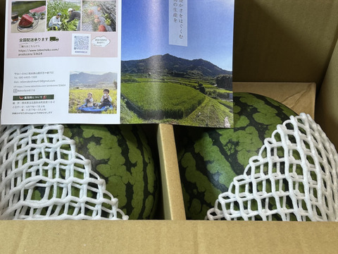 【2027年予約】名産地熊本県よりお届け‼︎小玉スイカ2玉入り(2.0.kg以上×2玉）