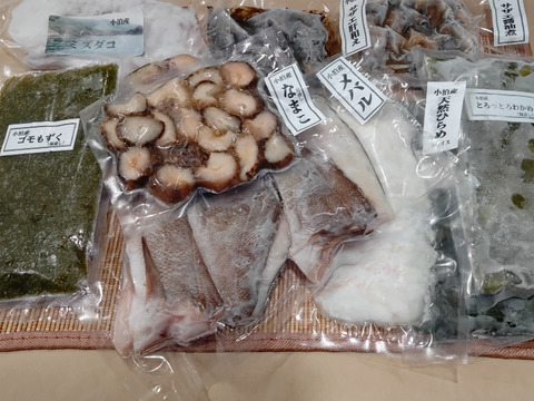 小泊産！海の幸セット8品（冷凍加工品）【20セット限定】