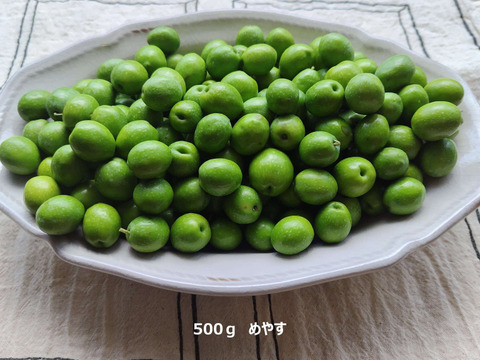 オーガニック・オリーブの実　500g　マンザニロ