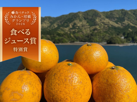 箱込み4kg 自然栽培の紅河内晩柑（ジューシーオレンジ）栽培期間中に農薬、化学肥料不使用　【熊本県天草特産】