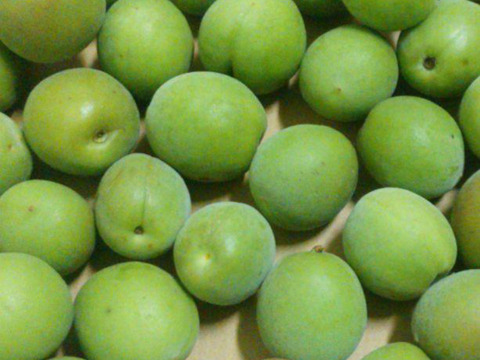 【早いもの勝ち】岩手県産　青梅3キロ