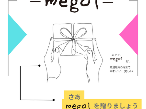 【かわいいお米の成長報告ギフト -megoi-】南魚沼産コシヒカリ2合（300ｇ）×2袋
