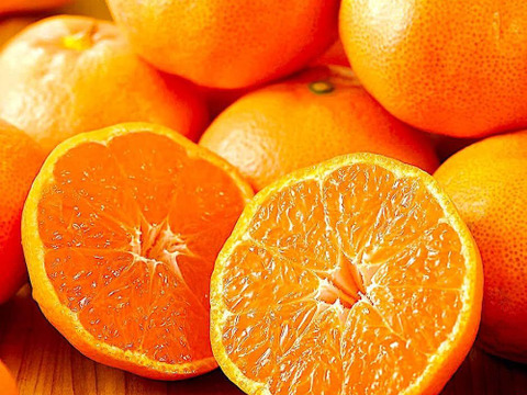 温州みかん10kg‼️