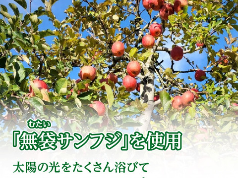 噛むほどに美味い！青森県産ドライフルーツりんご「木の実　実のまま」50ｇ×1袋