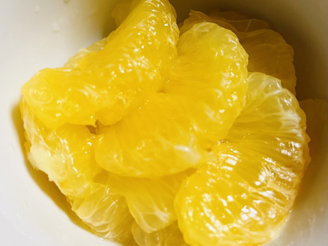 [自然栽培]ナルトオレンジ(5kg)栽培期間中農薬不使用、肥料不使用