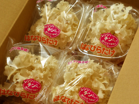 コリコリ新食感！はなびらたけお手軽10パック入り