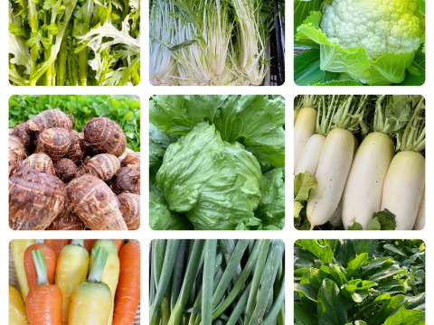 【丹波産】野菜を食べよう‼️冬の野菜詰め合わせセット‼️