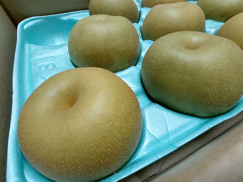 令和7年8月発送【予約】梨 幸水 良品5kg‼️長野県産