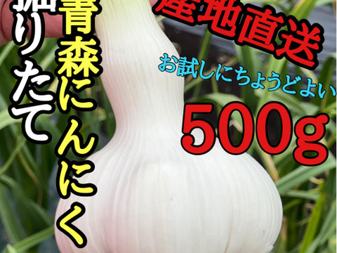 【500箱売れた】食べなきゃ損！人生に一度は食べてみたい★掘りたて青森産「生」にんにく大玉500ｇ
