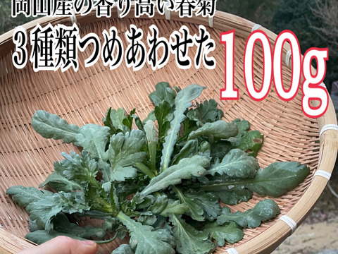 採れたて春菊を100gお届けします