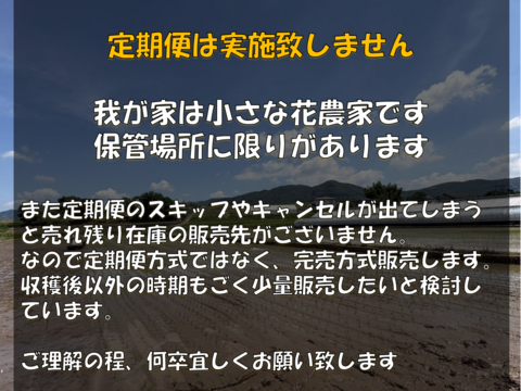 【2026年産新米予約】中島さんちのお米♪/生活応援米/にじのきらめき/猛暑でも食味がおちない新品種/無洗米（白米、玄米可）/20.1㎏/室温管理した安心安全なお米/数量限定/花農家のお米/