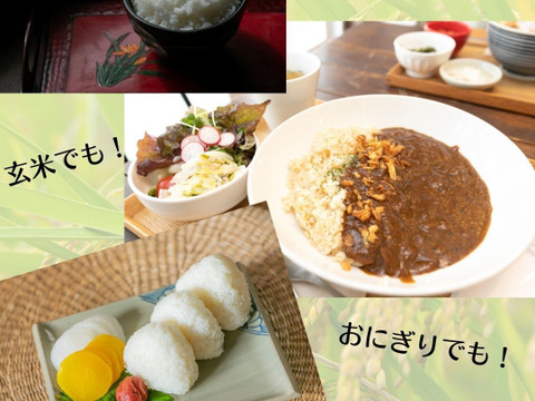 【特別栽培米】炊飯食味値80点以上獲得した滋賀県産「きぬむすめ」 無洗米5kg
皆さんに美味しいお米を届けるだけでなく、幸せも届けたい！
そんな思いからご祈祷しました「縁起の竜王米」！