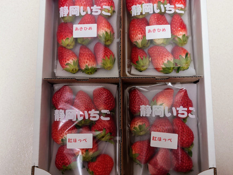 4Pいちご狩りの美味しさをお届け！伝統の石垣いちご（270g×4パック）品種おまかせ