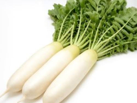 【常温便】超人気！！葉っぱの半分カット大野ヶ原大根だいこんLサイズ 3本