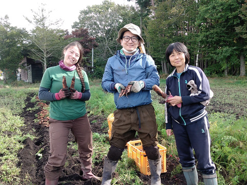 クセがなく、爽やかで飲みやすい!　八ヶ岳のにんじんジュース  180㎖✕６本
