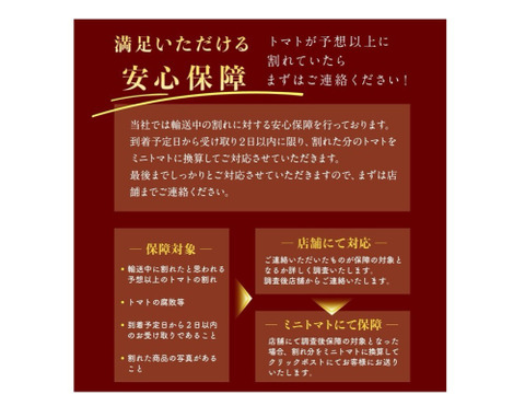 【特別栽培農産物の取得】ソムリエミニトマト　ダイヤ１kg（６０玉～９０玉）