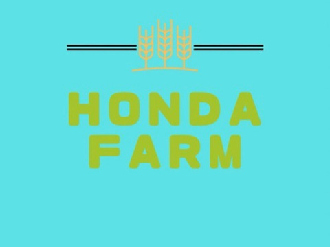 農薬不使用！『ゴルゴビーツ』2個セット