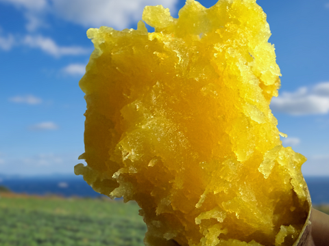 焼き芋におすすめ！蜜があふれる熟成紅はるか 島育ちのさつまいも ２kg