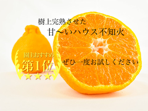 甘くて濃厚💓ハウス不知火（デコポンと同品種）3kg家庭用