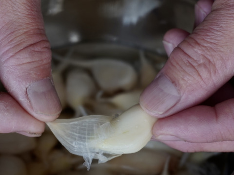 【バラにんにく 小さめ ホワイト 400g】北海道産  福地ホワイト六片種 農薬不使用自家栽培にんにく