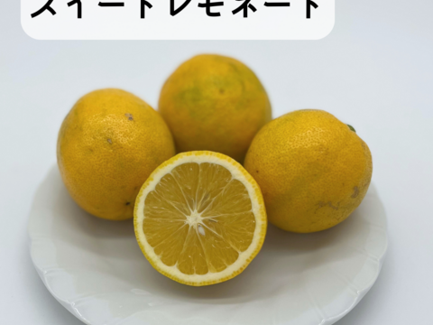 スイートレモネード【2㎏】（S～2Lサイズ）