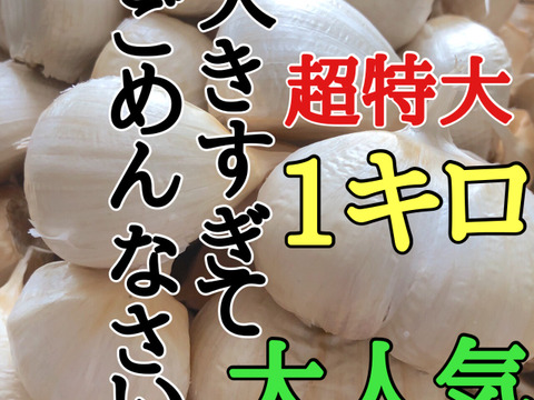 【大特価】月500箱完売🌟まるでお芋！あまくておいしい青森にんにく大粒バラ1キロ＋おまけ増量🌟