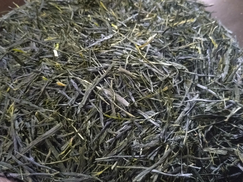 煎茶（2026） ごこう 新茶 加茂自然農園のお茶　農薬・肥料不使用　緑茶