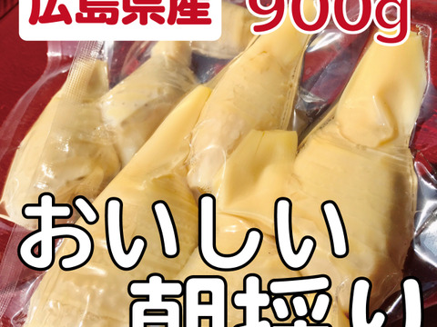 朝採り 新鮮タケノコの水煮900g 広島より無農薬で栽培 うまい たけのこ 広島県産 食べチョク 農家 漁師の産直ネット通販 旬の食材を生産者直送 朝採り 新鮮タケノコの水煮900g 広島より無農薬で栽培 うまい たけのこ 広島県産 食べチョク 農家 漁師の産直ネット通販 旬の食材を生産者直送