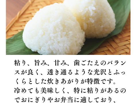 あきたこまち 【白米】新米 R7年度産  27～29kg 特Aランク産地・秋田県湯沢市産 食味ランキングで高評価を得る特A地区