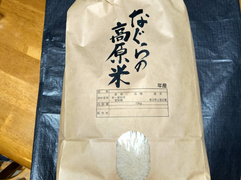 愛知県産白米9.8kg