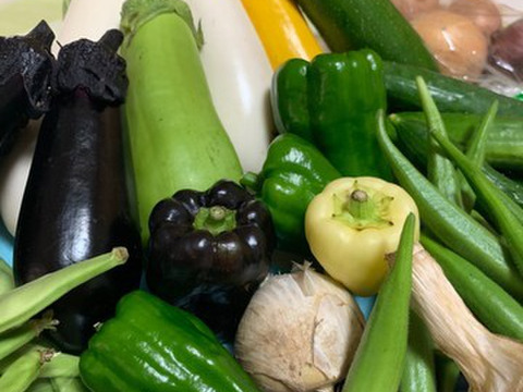 【夏ギフト】おー！カラフル！納涼★お祭りセット！カラフル野菜で猛暑払い！
～農薬/化学肥料・不使用