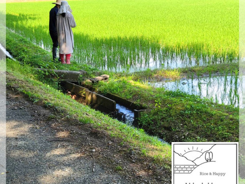 【令和6年産 】"特別価格" 特別栽培米 ササニシキ「うみ幸やま幸」25kg前後 精米 みえの安心食材認定