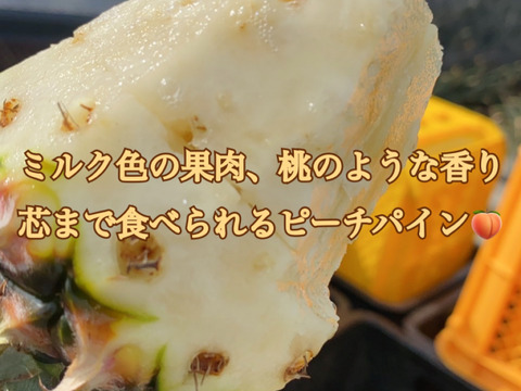 【石垣島直送】桃のように香るピーチパイン5kg（6〜8玉入り）｜前花パイン農園（沖縄県石垣島産パイナップル）