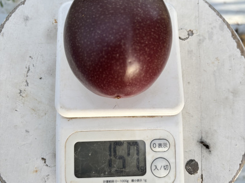 甘い南国の味。パッションフルーツ（6個入り）