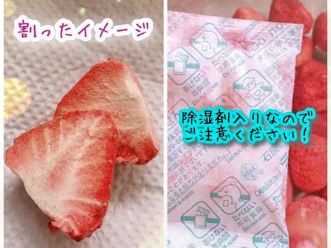 国産フリーズドライいちご2種セット(固形・20g×13／粉末・10g×2)