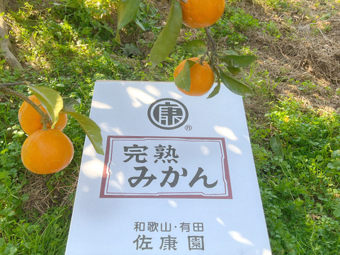 【贈答用・木箱】滑らかな舌触り！あふれる果汁！糖度だけでは測れない深い甘みとコク！匠の技が光る『頑固みかん』Mサイズ、5kg