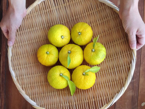 【福袋】麹で菌活❣️お得な7点セット《冷凍便》甘酒〈柚子2・桃2・プレーン1〉、塩糀（プレーン）、にんにく塩糀