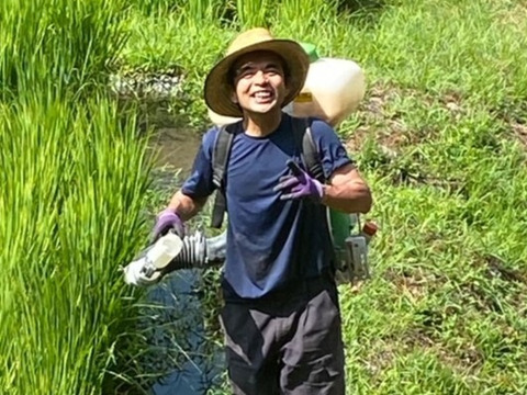 【日本一大粒米・特別栽培・白米】令和７年産 福井県産いのちの壱(コシヒカリの大粒米) 内田農園・ピロール米 ３㎏