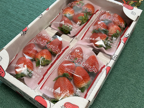 (4P)約1kg【いちご・とちあいか】実がしっかりして酸味が少なく甘さが際立つ新品種★「とちあいか」(４パックx260g) 栃木県産いちご●一番人気いちごセット●お届け日指定可
