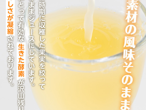 爽やかな香り！河内晩柑ストレートジュース(１８０ｍｌ×８本)