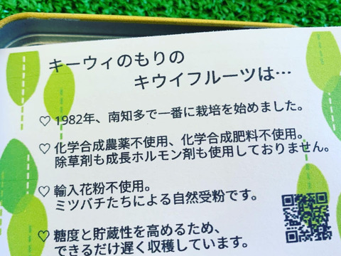 えっ これがキウイ 食べてビックリ濃厚な味わい 極美味キウイフルーツ 松 化粧箱入り 1kg 8 16個 愛知県産 食べチョク 農家 漁師の産直ネット通販 旬の食材を生産者直送